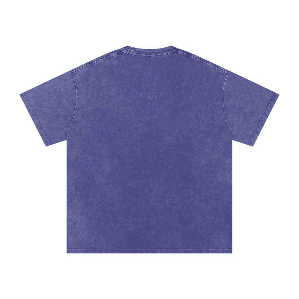 Geometry of Space luxury washed cotton streetwear T-shirt, alternate color and garment view 26